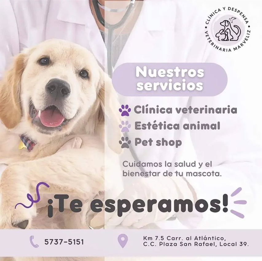 Veterinaria Marveliz